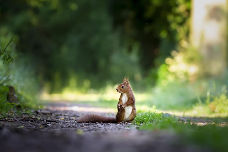 Nature Exploration