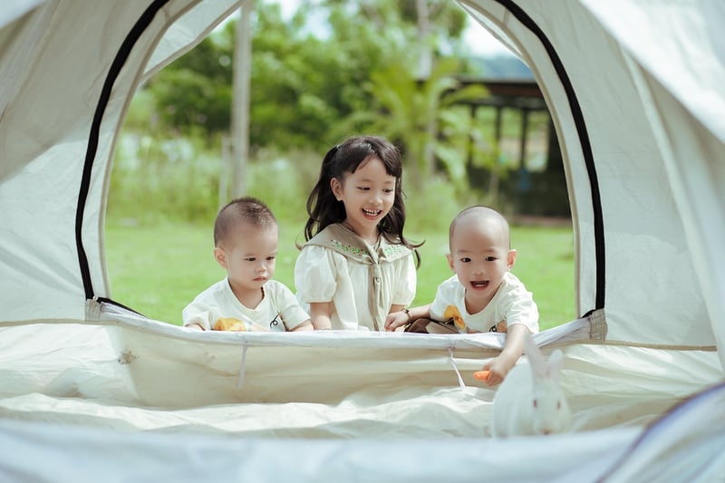 Camping Adventure