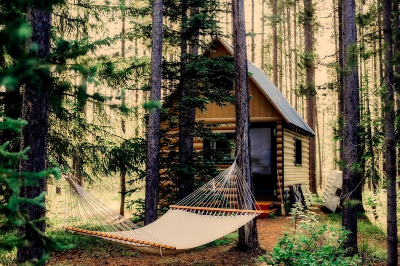 Forest Treehouse Hideaway